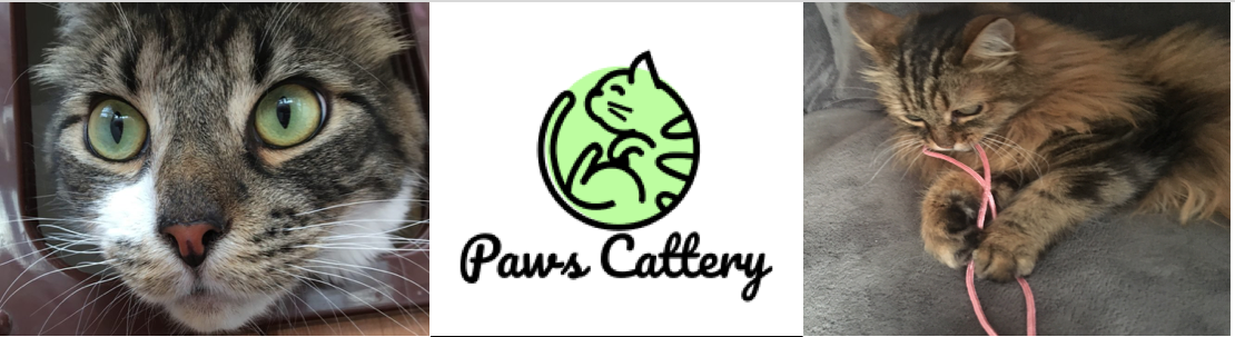 Paws Cattery
